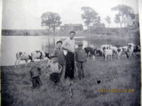 1946�