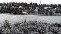 �������� 1974 ���.