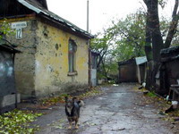 ��.�������� 2002�.